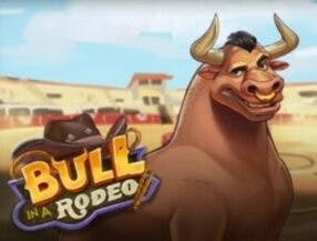 bet online casino